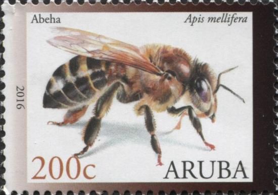 Bee (Apis mellifera)