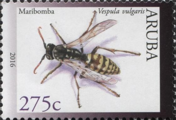 Wasp (Vespula vulgaris)
