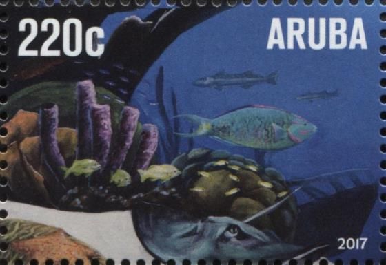 Underwater Panorama