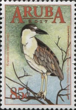 Black-Crowned Night Heron (Nycticorax nycticorax)