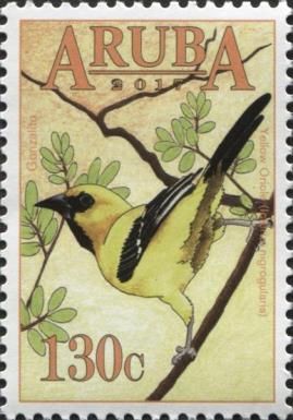 Yellow Oriole (Icterus nigrogularis)