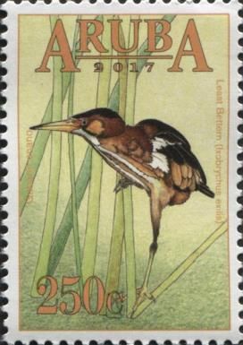 Least Bittern (Ixobrychus exilis)
