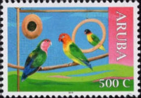 Parrots - cagebirds