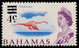 American Flamingo (Phoenicopterus ruber) - surcharged