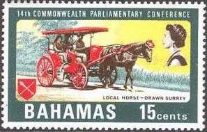 Horse Drawn Surrey