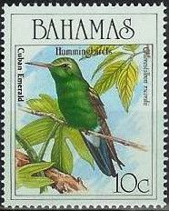 Cuban Emerald (Chlorostilbon ricordii)