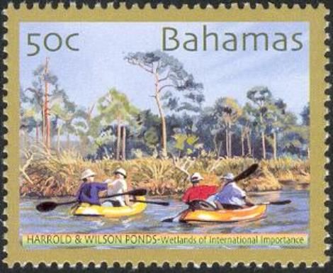 Kayakers