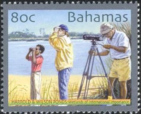 Bird watchers