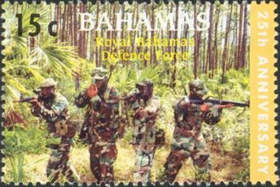 Soliders Training in Camouflage Uniforms