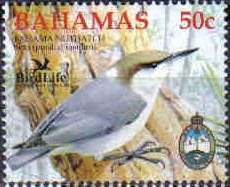 Bahama Nuthatch (Sitta pusilla insularis)