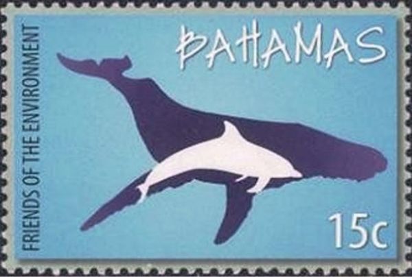 Whale, Dolphin