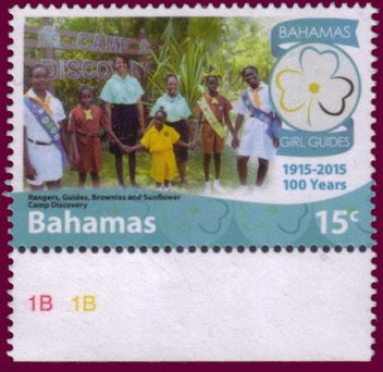 Rangers, guides, brownies and sunflower