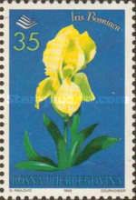 Iris Bosniaca