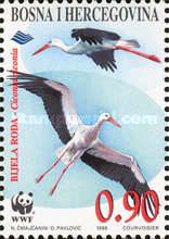 White Stork (Ciconia ciconia)