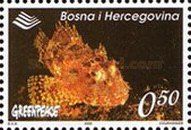 Humpback Scorpionfish (Scorpaenopsis gibbosa)