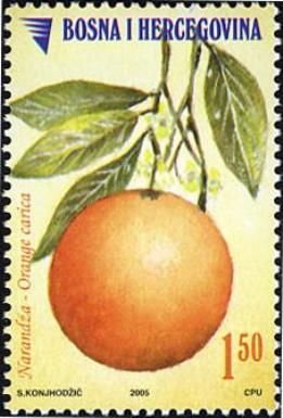 Orange carica