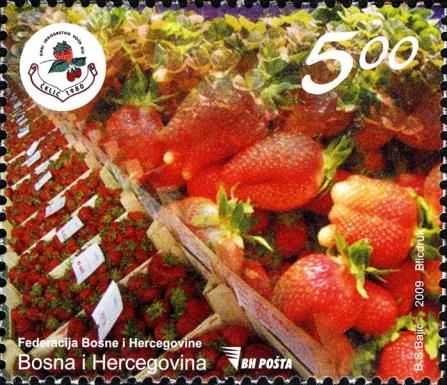 Strawberries