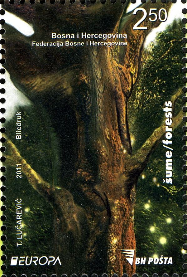 Forest 2