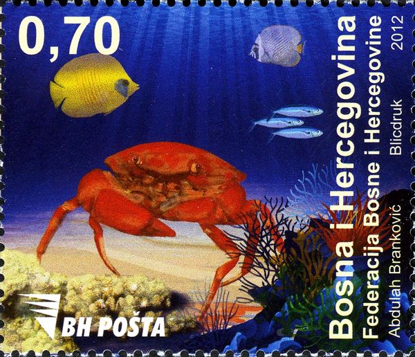 Crab