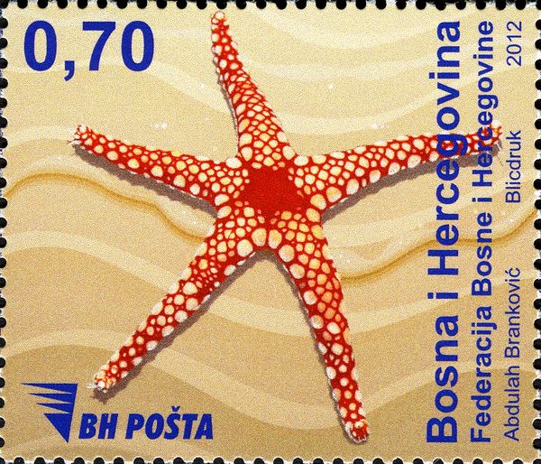 Starfish