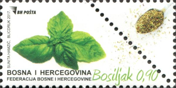 Basil