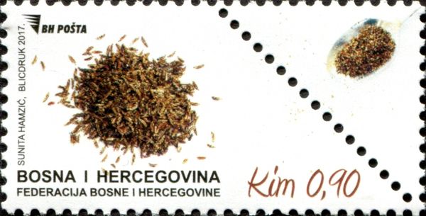 Cumin