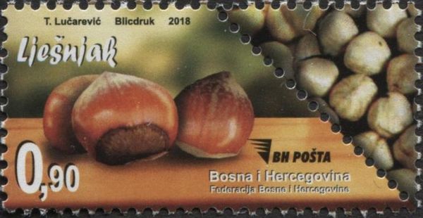 Hazelnut