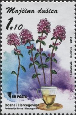 Wild Thyme (Thymus serpyllum)