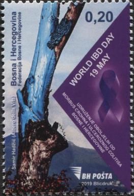 World IBD day