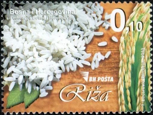Rice
