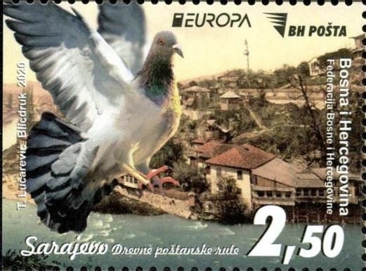 View of Sarajevo and Pigeon