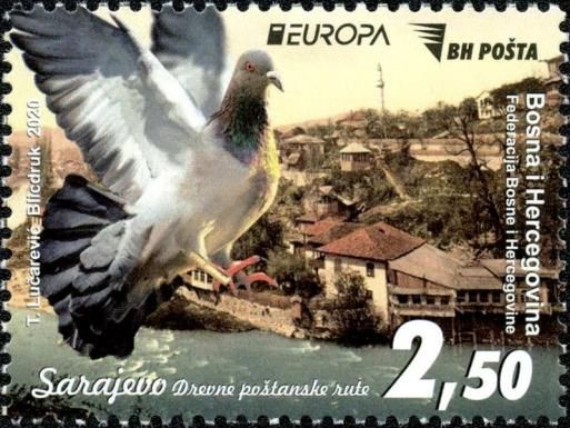 View of Sarajevo and Pigeon