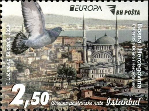 View of Istanbul and Pigeon
