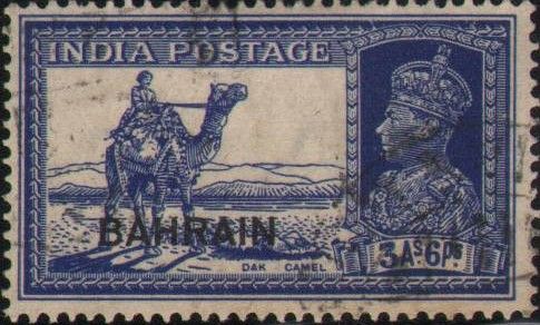 Dak Camel - overprinted