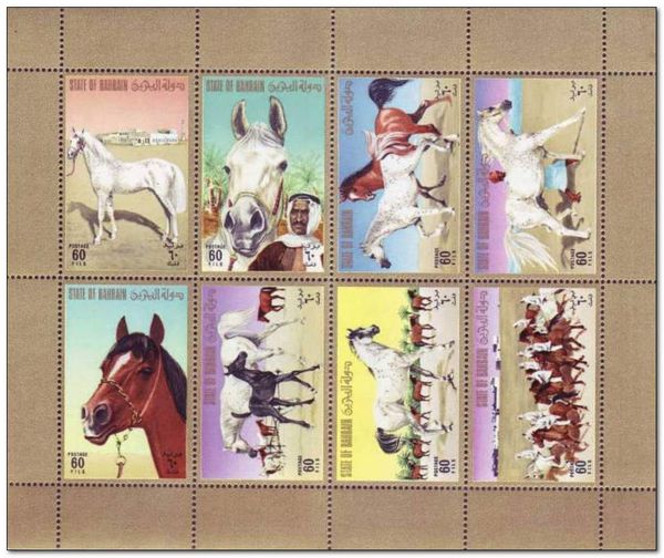 Arabian Horse (Equus ferus caballus)