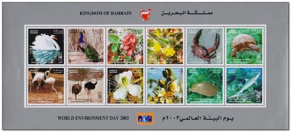 Animals and Plants