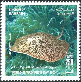 Stingray