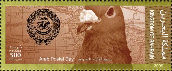 Carrier Pigeon (Columba livia forma omestica), Historical