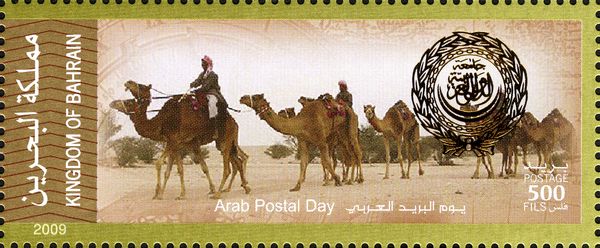 Dromedary (Camelus dromedarius), Post Rider