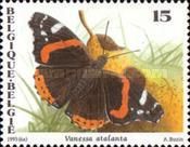 Red Admiral (Vanessa atalanta)