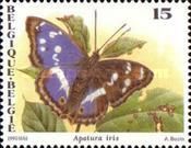 Purple Emperor (Apatura iris)