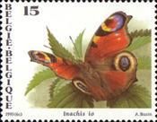 European Peacock (Inachis io)