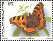 Small Tortoiseshell (Aglais urticae)