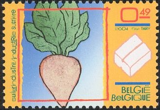 Sugar Beet (Beta vulgaris altissima)