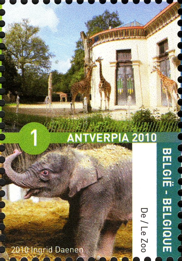 Asian Elephant (Elephas maximus), Giraffe (Giraffa camelopar