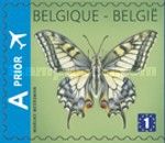 Swallowtail (Papilio machaon) - Left Imperforate