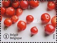 Forgotten fruit: Cranberry