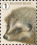West European Hedgehog (Erinaceus europaeus)