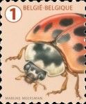 Asian Ladybug (Harmonia axyridis)