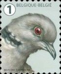 Turtle Dove (Streptopelia turtur)